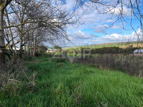 Farm Land Only in Baardskeerdersbos — photo 1 of 12