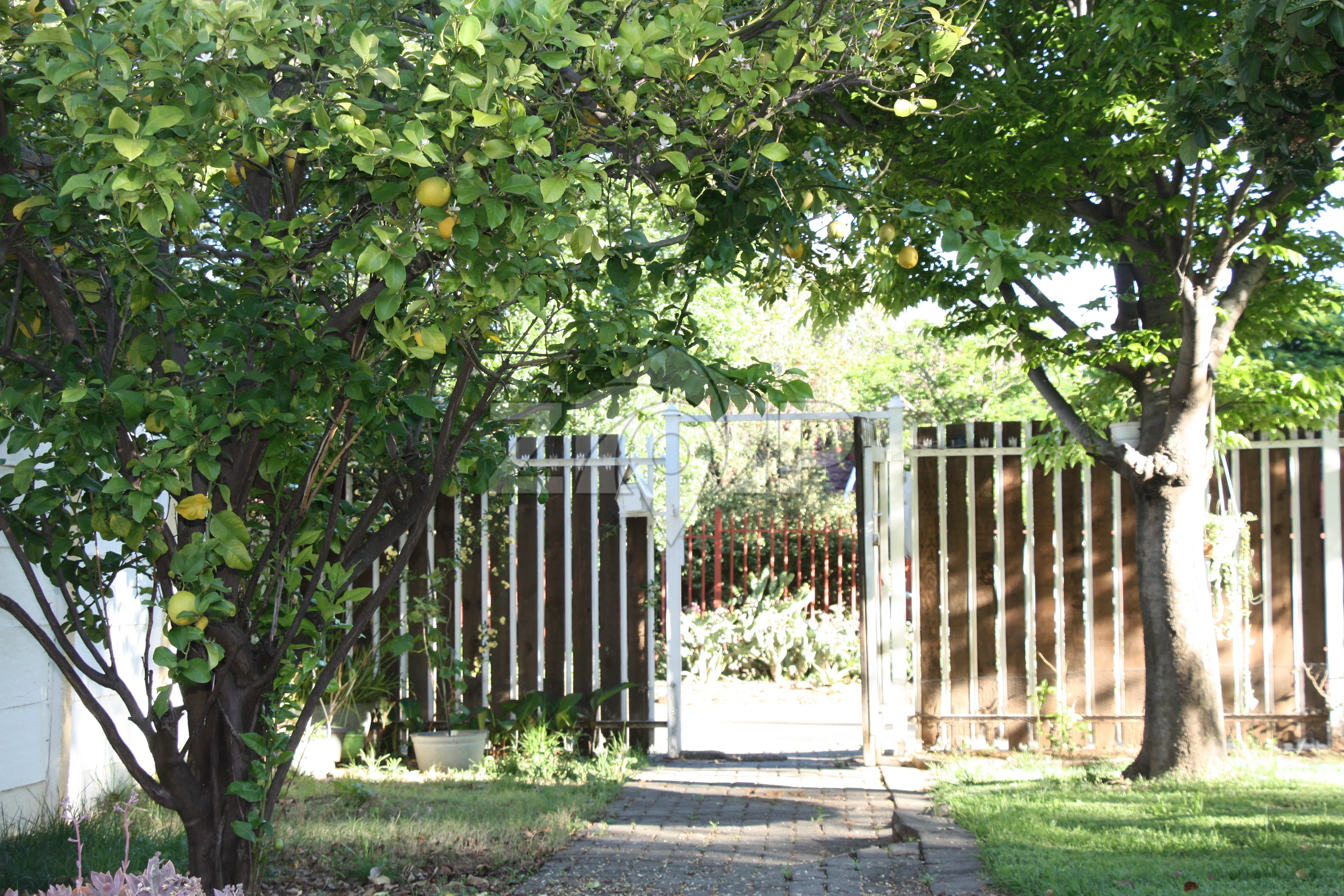 SPACIOUS & PRIVATE LEMON TREE COTTAGE