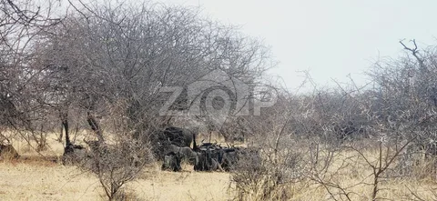 Farm Land Only in Dinokeng — photo 1 of 12